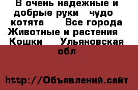 В очень надежные и добрые руки - чудо - котята!!! - Все города Животные и растения » Кошки   . Ульяновская обл.